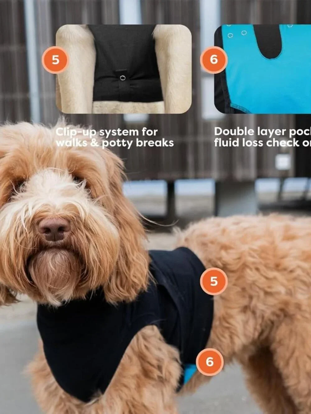 Suitical Recovery Suit for Dogs - Size Medium